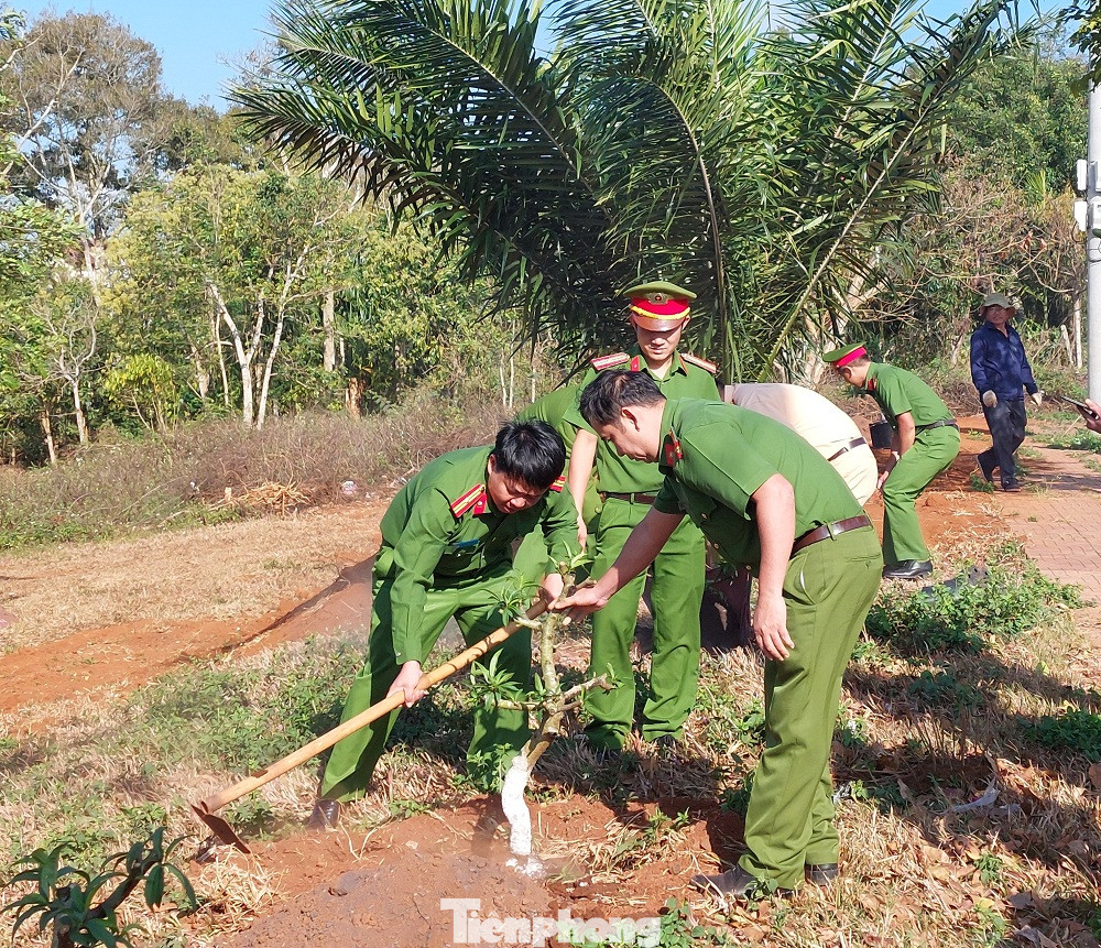 Hứa hẹn thị xã Buôn Hồ sẽ có một con đường hoa đào