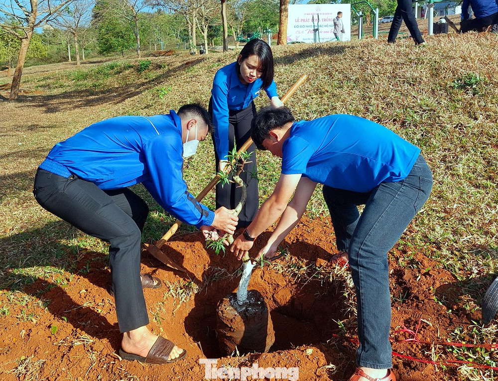 Đoàn thanh niên tham gia trồng cây hoa đào