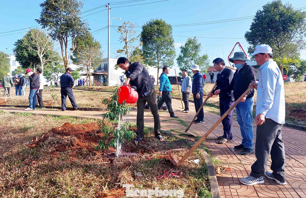 Nhiều hộ dân trên địa bàn làm giàu từ việc bán hoa đào dịp tết
