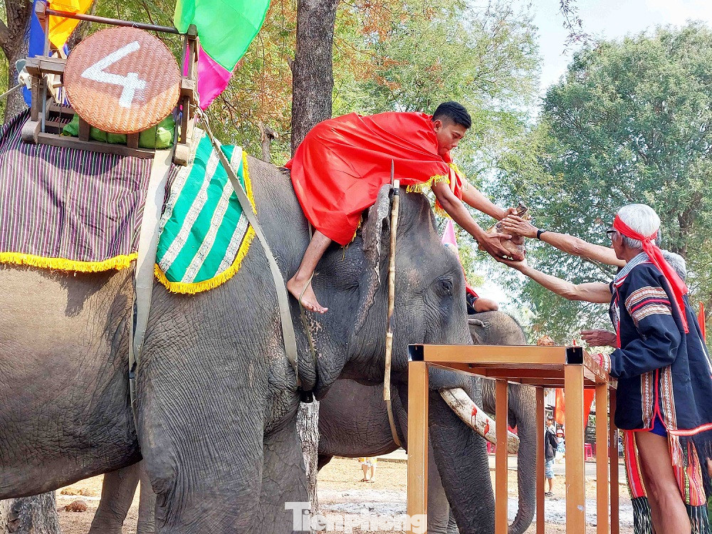 Lễ cúng sức khỏe cho voi, cầu khấn thần linh phù hộ voi có nhiều sức khỏe, không ốm đau bệnh tật.