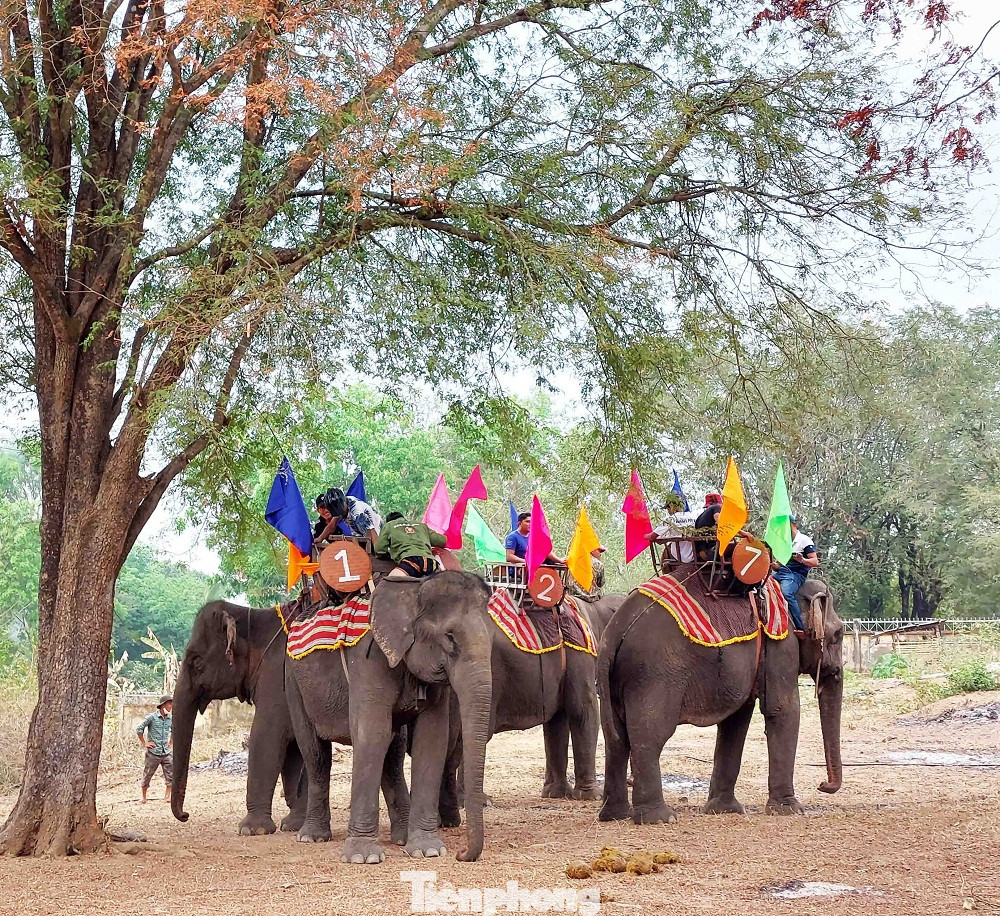 Lý giải lễ cúng sức khỏe cho voi thường tiến hành ngay sau khi kết thúc lễ cúng bến nước, thầy cúng Y Hăn Bkrông cho biết trước đây tù trưởng Khun Ju Nốp (thường gọi ông Vua voi) thường đến bến này để làm lễ tế thần nước, cầu mong mưa thuận gió hòa, mùa màng, cây cối tốt tươi, cầu mong sức khỏe cho voi.