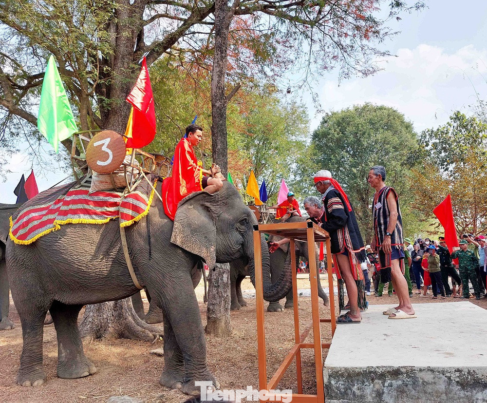 Lễ cúng thể hiện lòng yêu thương của con người đối với vật nuôi, mỗi người trong gia đình phải có trách nhiệm chăm sóc, yêu thương và bảo vệ voi. Lễ cúng sức khỏe voi có nhiều ý nghĩa, mang đậm bản sắc văn hóa dân tộc cần được giữ gìn và phát huy.