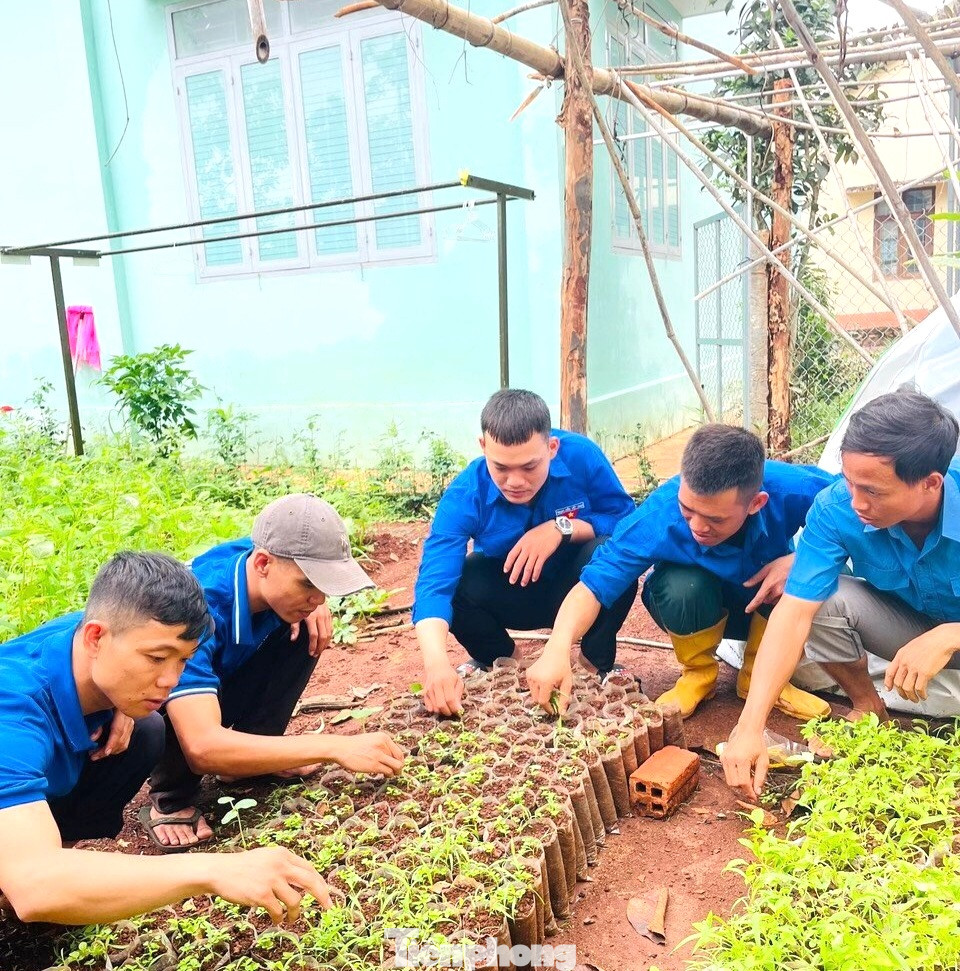 Các tổ chức cơ sở đoàn đã tổ chức trồng và chăm sóc 360 cây xanh; chăm sóc vườn ươm thanh niên với 250 bầu giống cây muồng vàng, kết hợp tuyên truyền nâng cao nhận thức cho người dân về việc bảo vệ môi trường.