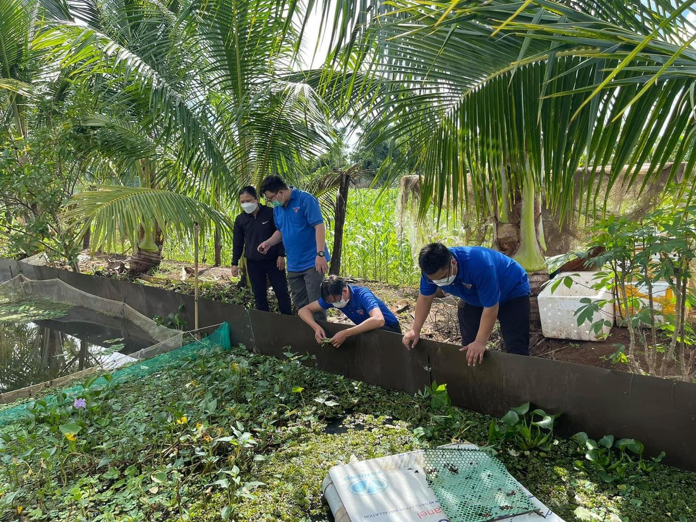 Mô hình của anh Hội được nhiều thanh niên đến học hỏi