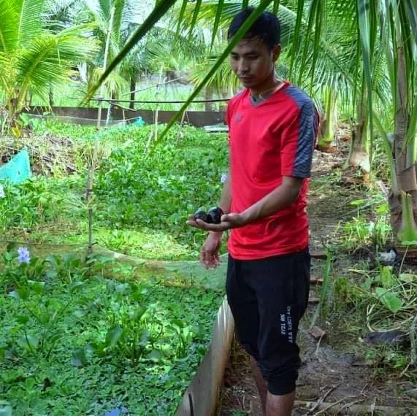 Từ mô hình này, mỗi năm anh Hội thu lãi cả trăm triệu đồng