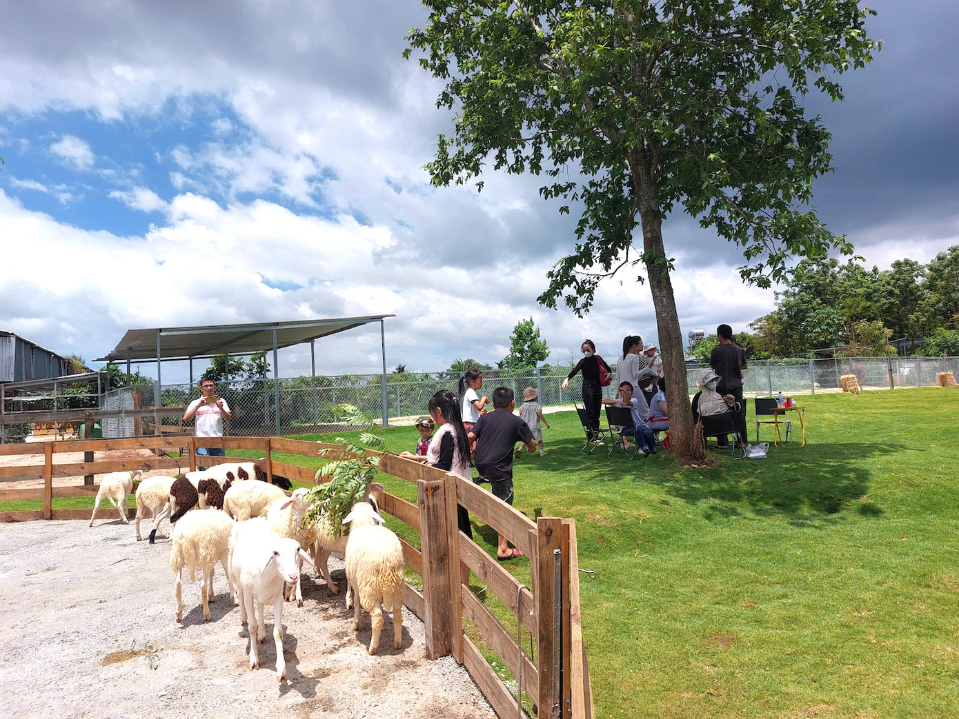 Mô hình cà phê động vật thu hút các bạn trẻ và các em nhỏ.