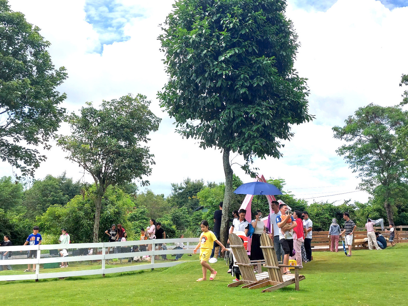 Nhiều gia đình đưa con em đến vui chơi, khám phá các loài động vật vào dịp cuối tuần.