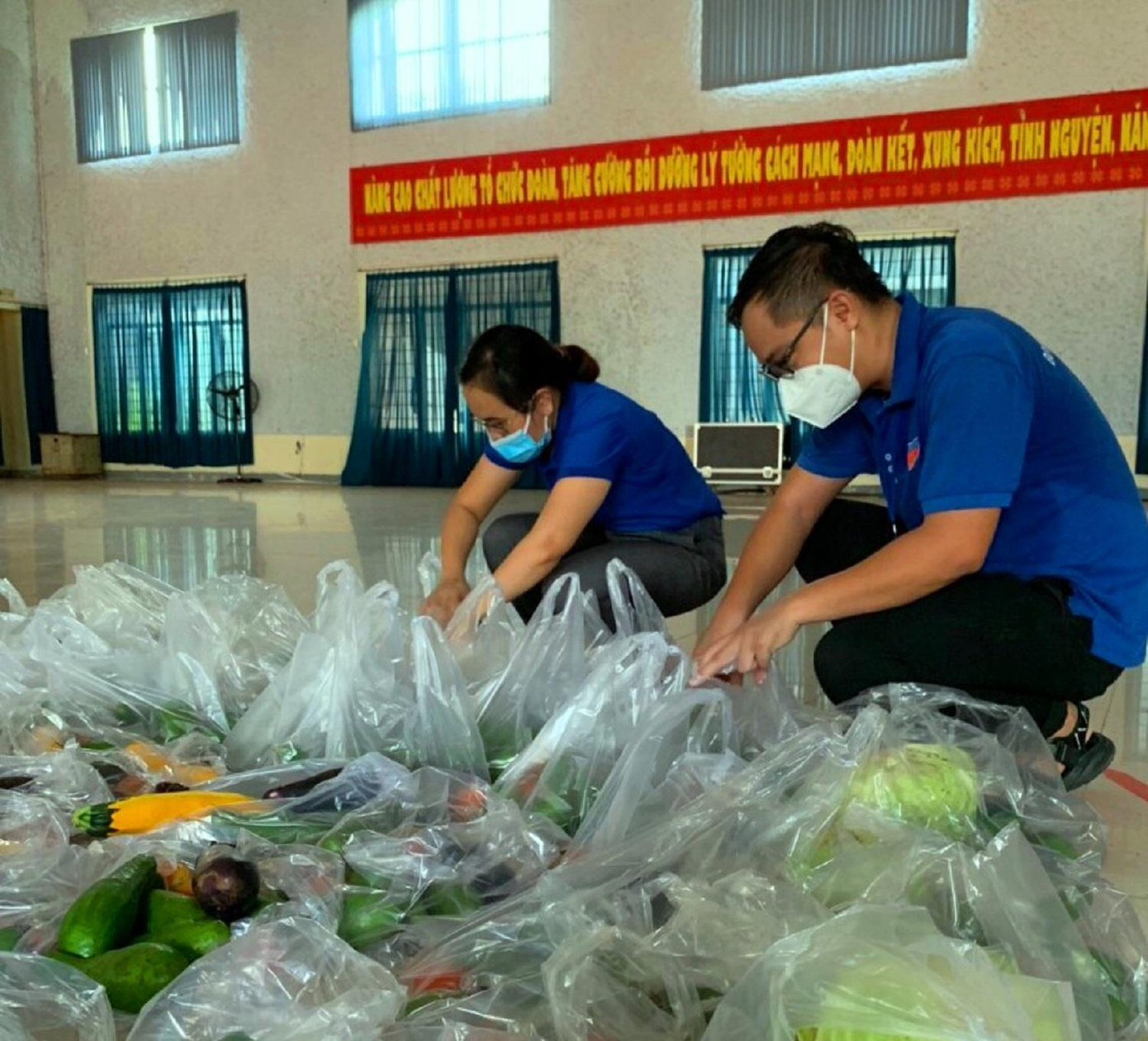 Đoàn thanh niên phân loại rau, củ, quả Đoàn thanh niên phân loại rau, củ, quả
