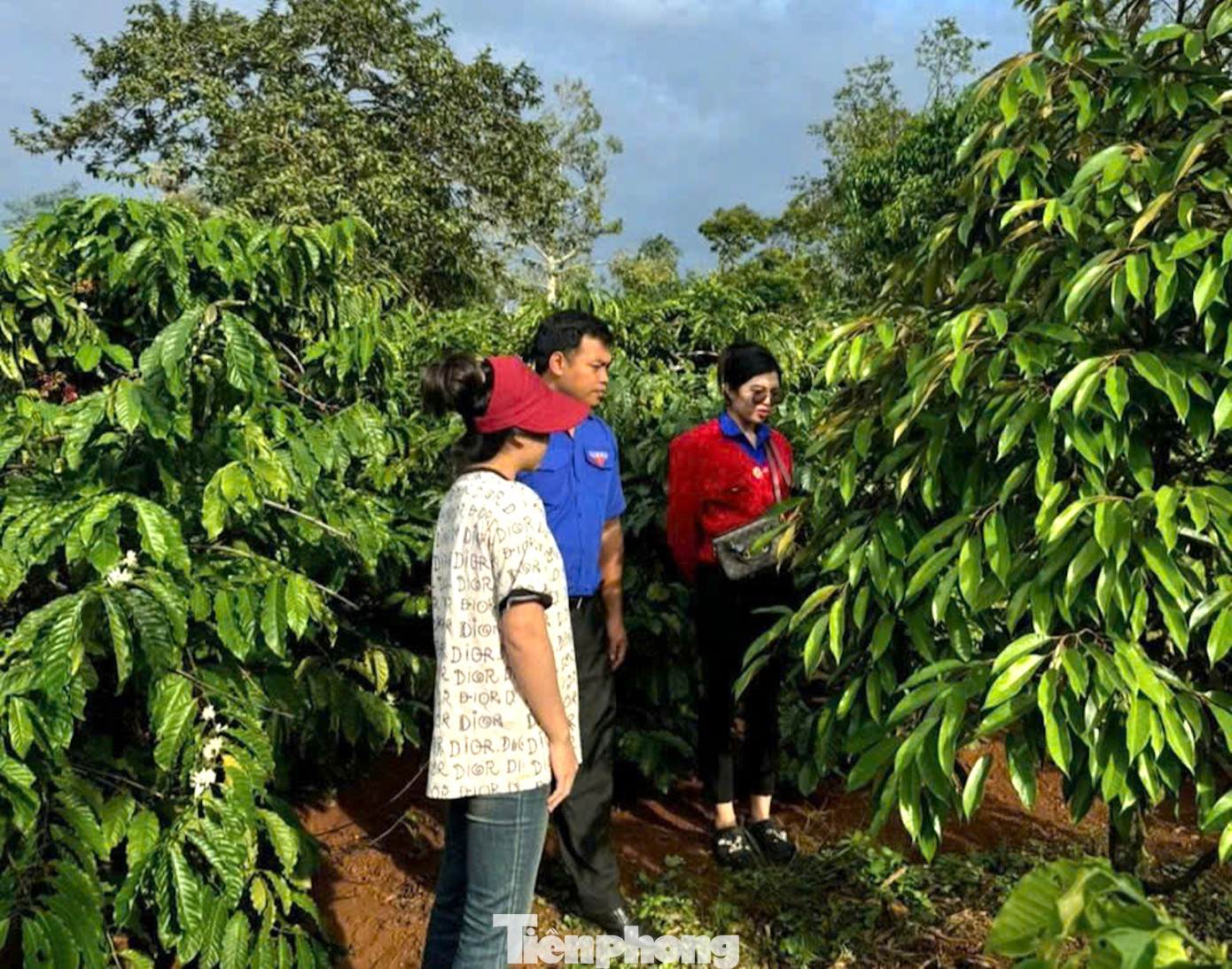 Các cơ sở đoàn quan tâm, hỗ trợ thanh niên khởi nghiệp