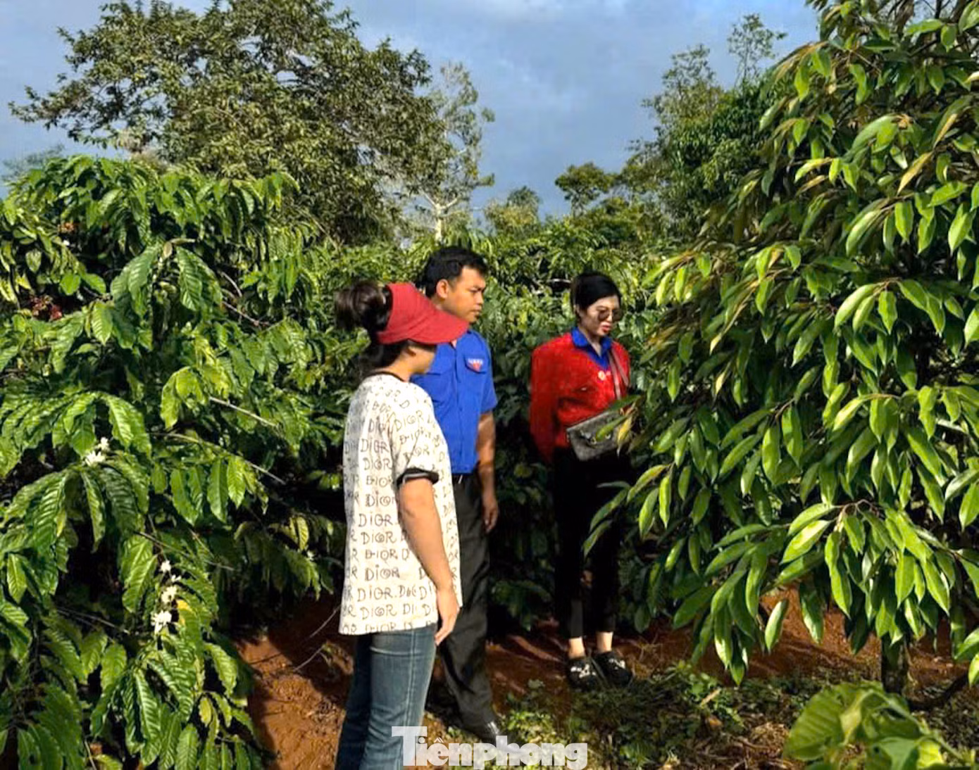 Các cơ sở đoàn quan tâm, hỗ trợ thanh niên khởi nghiệp