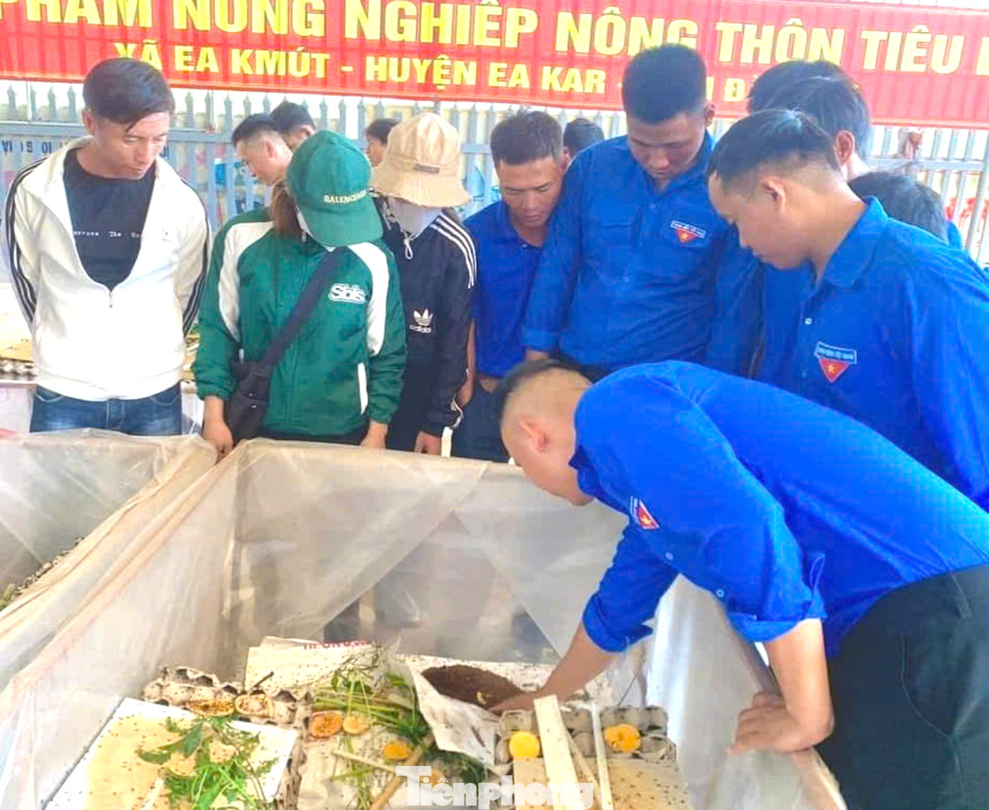 Nuôi dế thương phẩm, anh Nhi tận dụng phân dế làm phân hữu cơ hướng đến bảo vệ môi trường. Nuôi dế thương phẩm, anh Nhi tận dụng phân dế làm phân hữu cơ hướng đến bảo vệ môi trường.