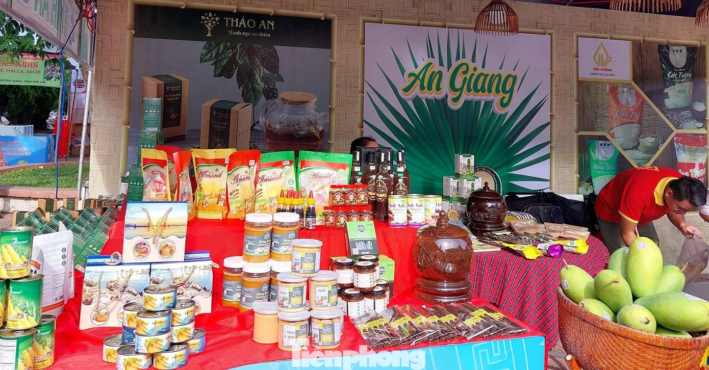 Ngoài các tỉnh Tây Nguyên còn có các tỉnh, thành khác trên cả nước tham gia