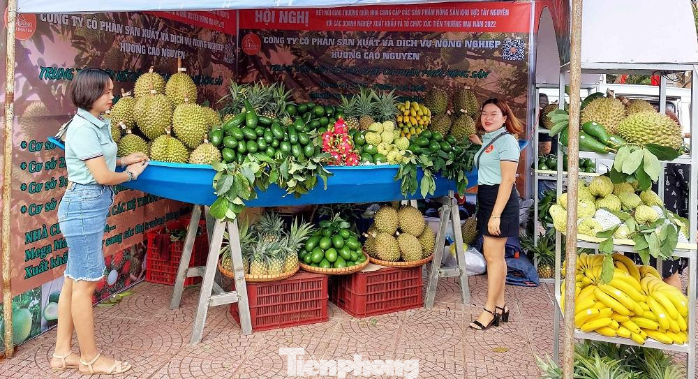 Các sản phẩm sạch đặc trưng của các hội viên, hợp tác xã... tỉnh Đắk Lắk
