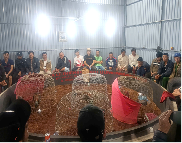 Hiện trường nơi công an phát hiện, triệt phá tụ điểm đánh bạc dưới hình thức đá gà (Ảnh: CACC). Hiện trường nơi công an phát hiện, triệt phá tụ điểm đánh bạc dưới hình thức đá gà (Ảnh: CACC).