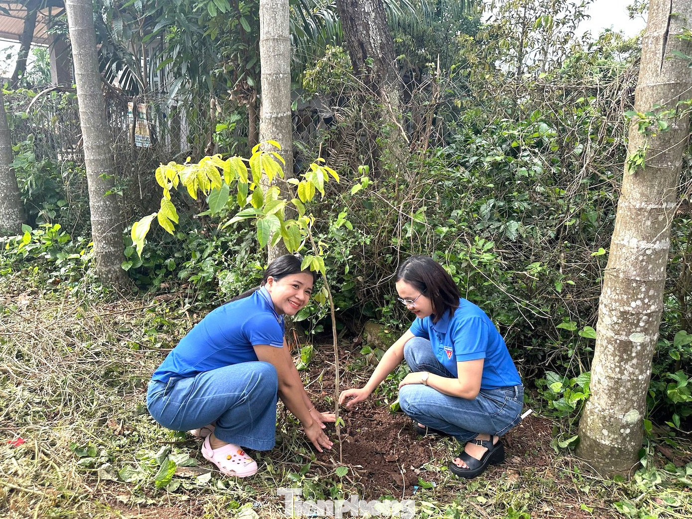 Đây không chỉ là hành động thiết thực hưởng ứng phong trào “Ngày Chủ nhật xanh” mà còn là cam kết mạnh mẽ của tuổi trẻ thành phố trong việc góp phần bảo vệ môi trường, ứng phó biến đổi khí hậu.