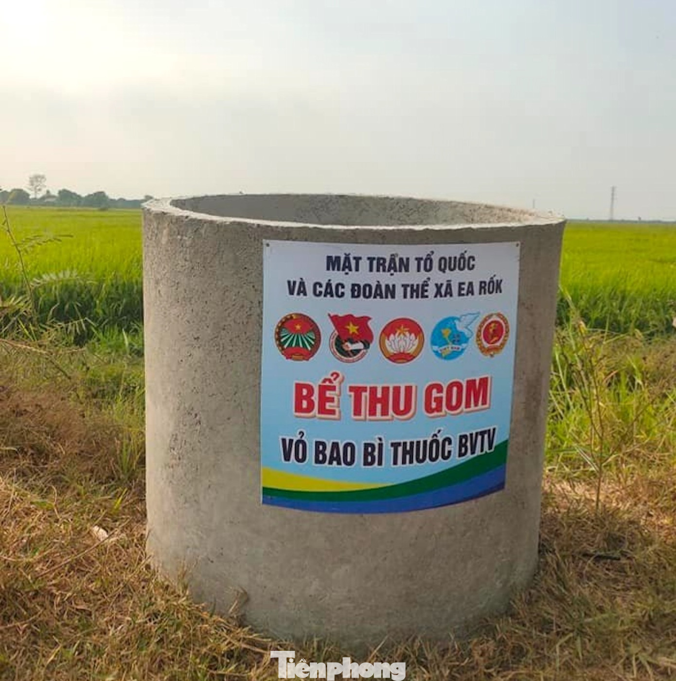 Đoàn xã Ea Rốk, huyện Ea Súp phối hợp với các đơn vị lắp đặt 10 bể thu gom vỏ, bao bì thuốc bảo vệ thực vật sau khi sử dụng. Những bể chứa này được đặt trên đường nội đồng của xã.