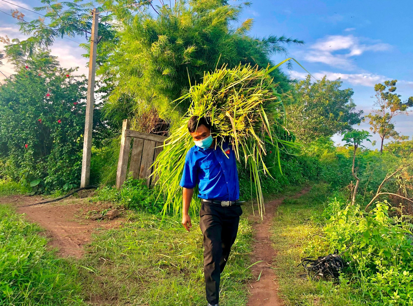 Đoàn thanh niên thay phiên nhau hỗ trợ cắt cỏ. Nhờ đó, người dân thôn Hà Bắc (xã Ea Wer) không còn lo đàn bò bị đói. Đoàn thanh niên thay phiên nhau hỗ trợ cắt cỏ. Nhờ đó, người dân thôn Hà Bắc (xã Ea Wer) không còn lo đàn bò bị đói.