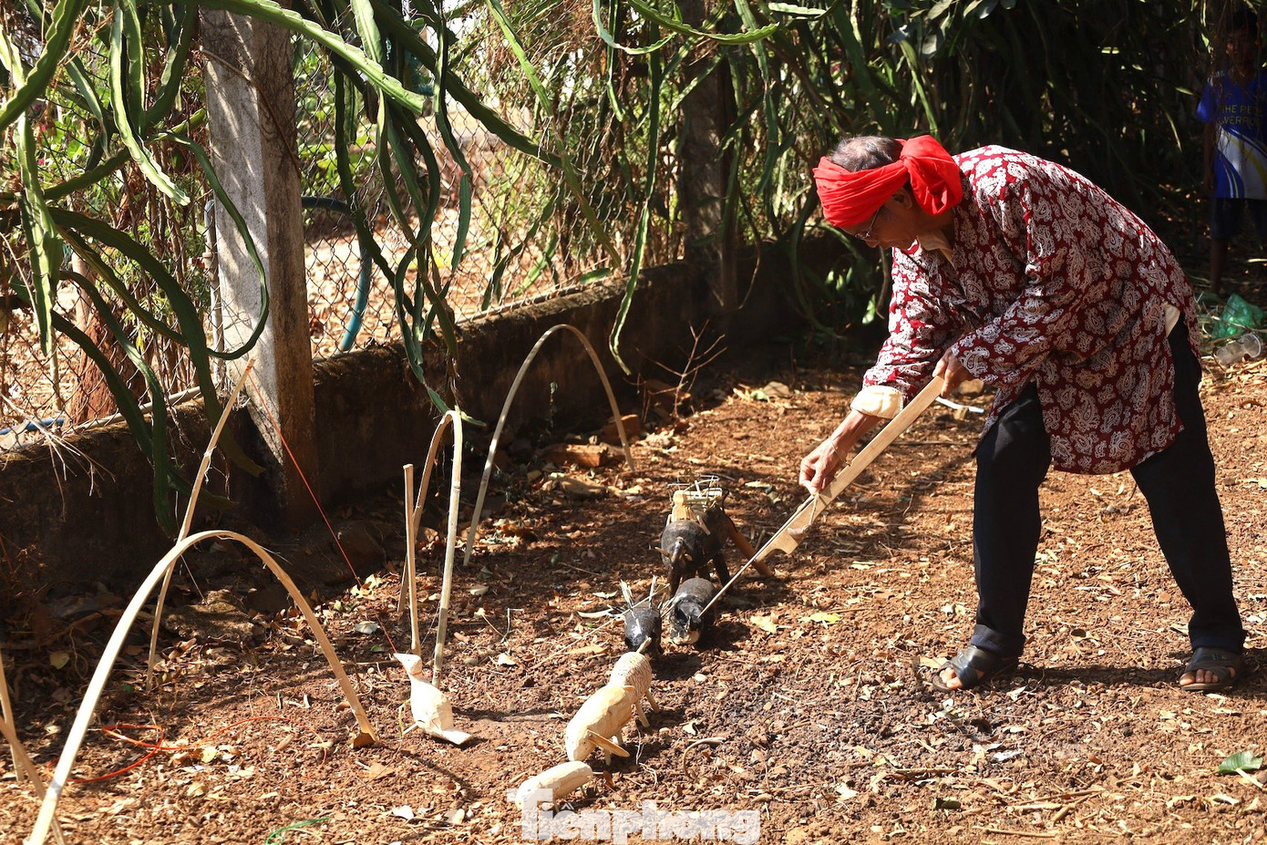 Các con vật phá hoại mùa màng sẽ bị người dân dùng nỏ bắn.