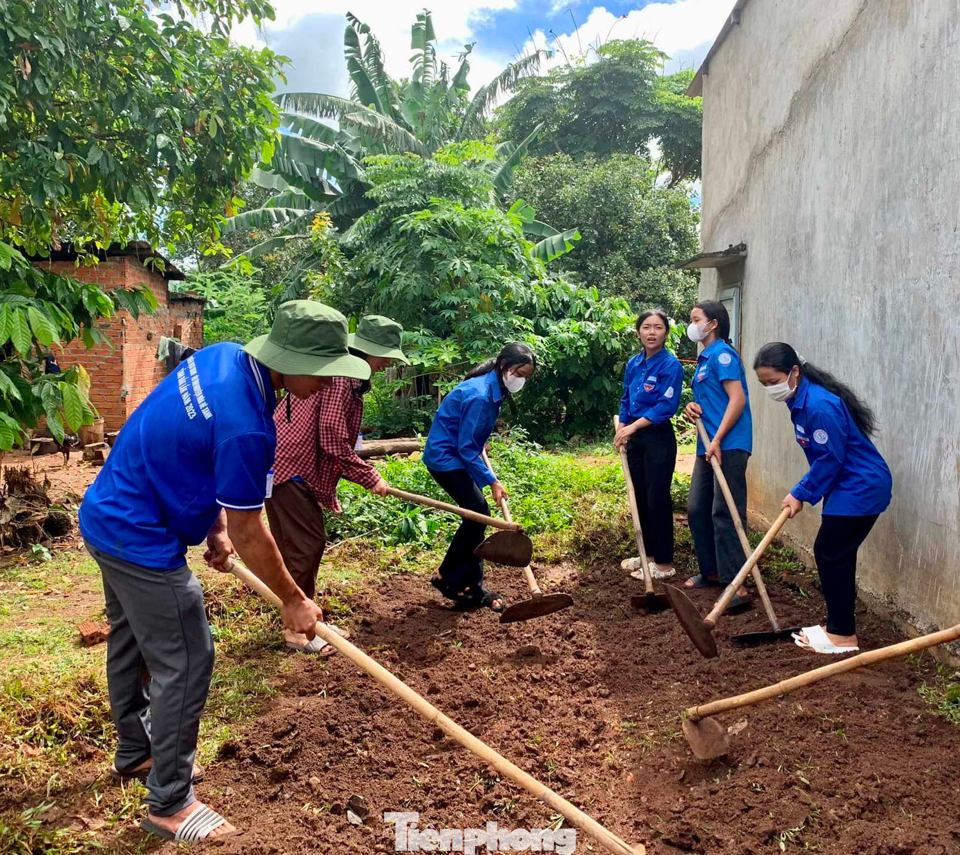 Các tình nguyện viên làm đất Các tình nguyện viên làm đất