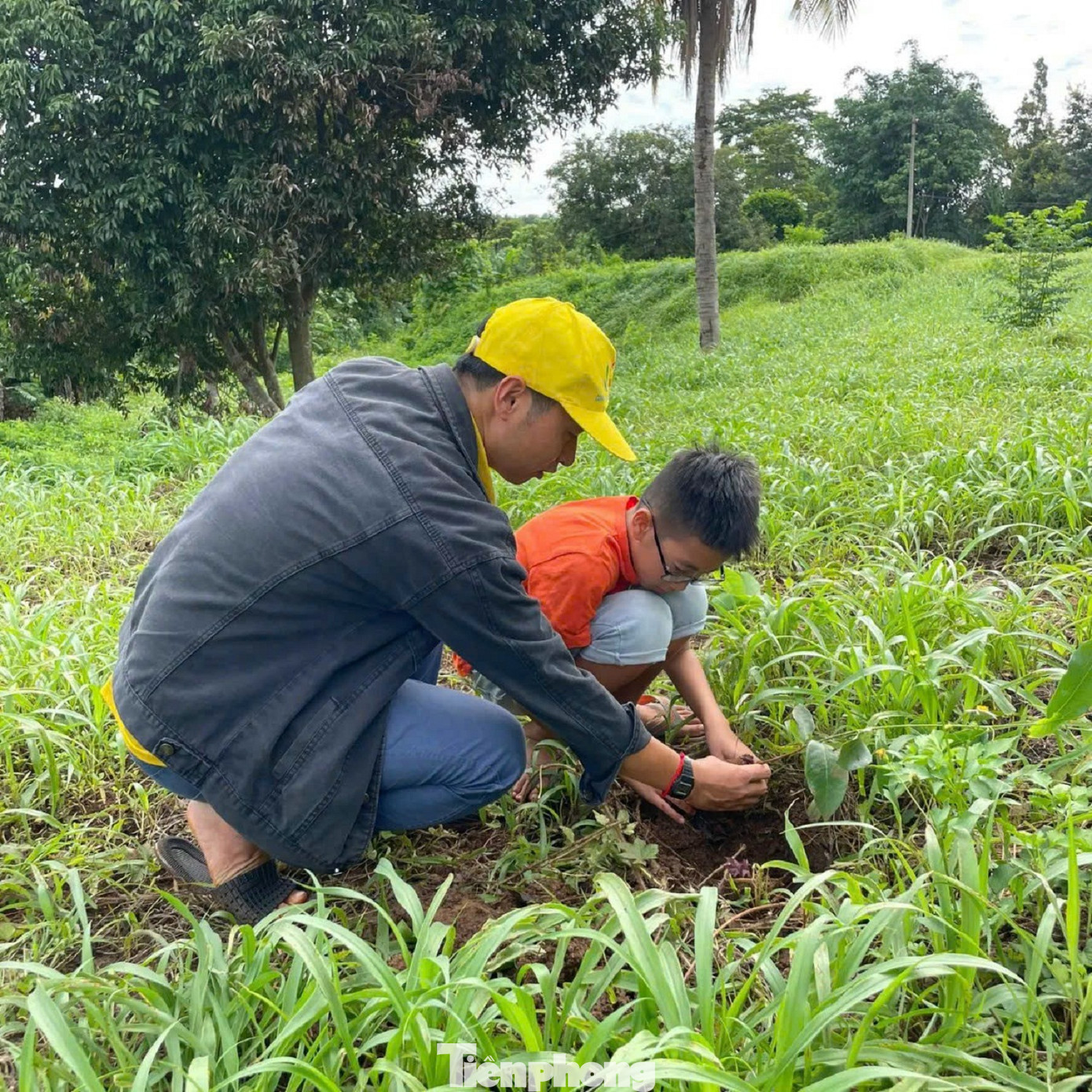 Nhiều hoạt động trải nghiệm cho học sinh trong dịp hè