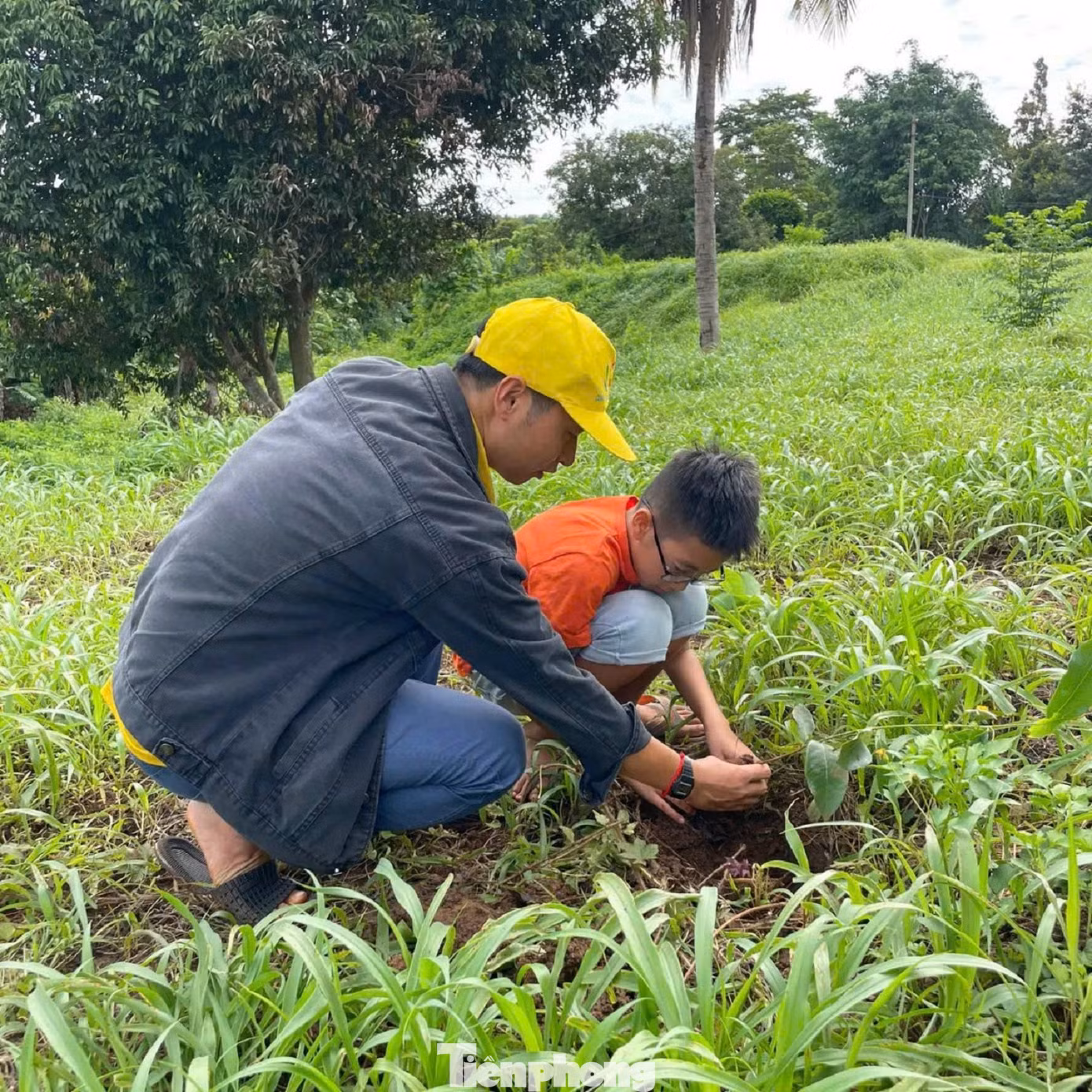 Nhiều hoạt động trải nghiệm cho học sinh trong dịp hè