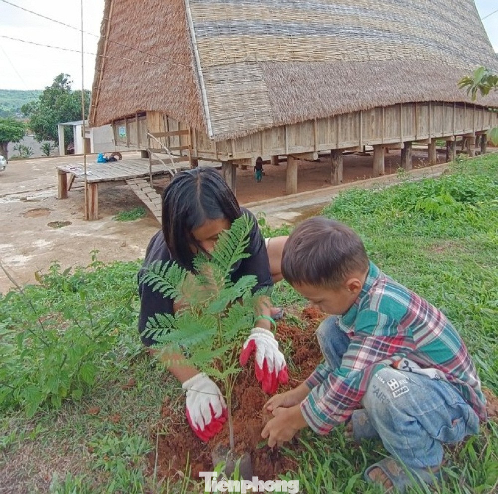 Các em nhỏ người Xơ Đăng tham gia trồng cây