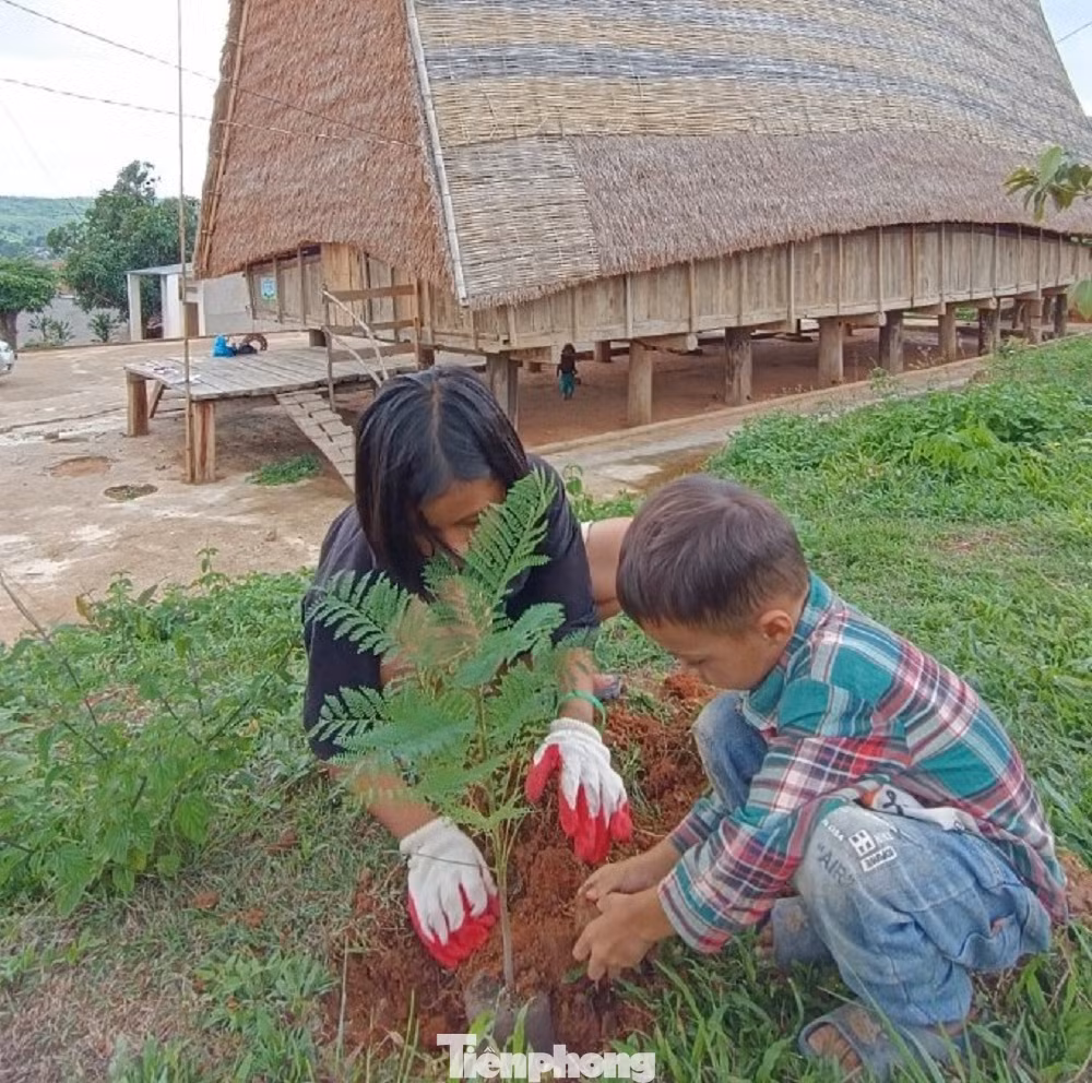 Các em nhỏ người Xơ Đăng tham gia trồng cây