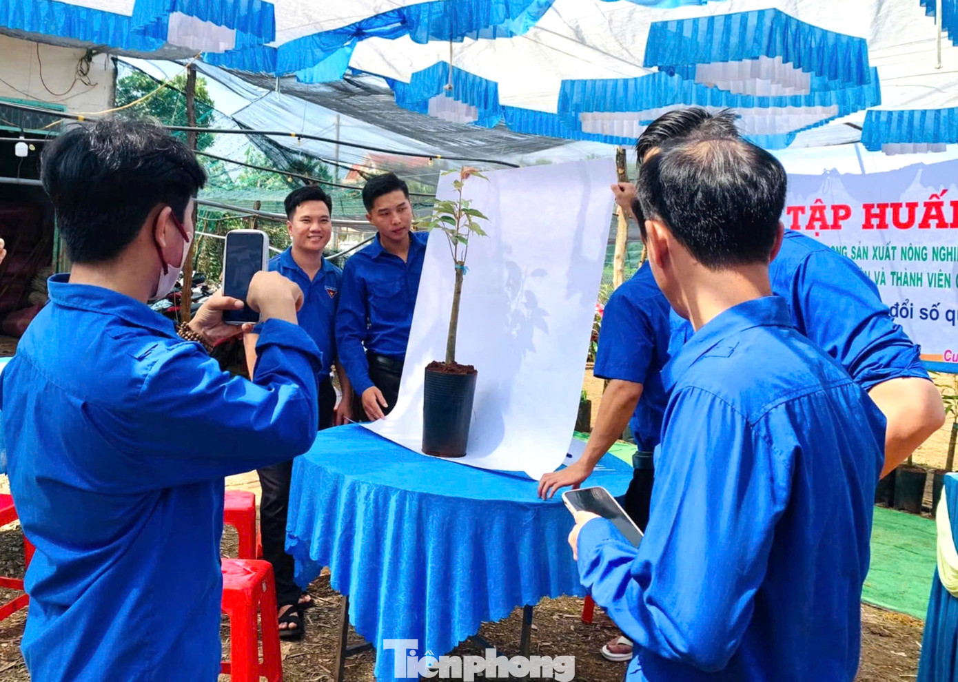 Đoàn viên thanh niên ứng dụng công nghệ vào chăm sóc cây trồng Đoàn viên thanh niên ứng dụng công nghệ vào chăm sóc cây trồng