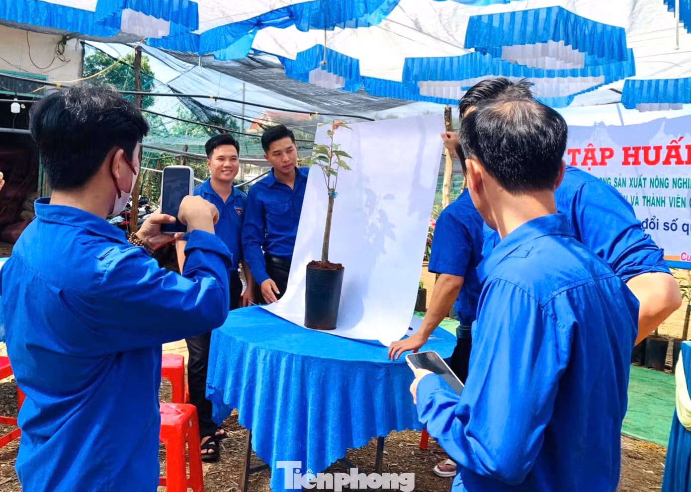 Đoàn viên thanh niên ứng dụng công nghệ vào chăm sóc cây trồng