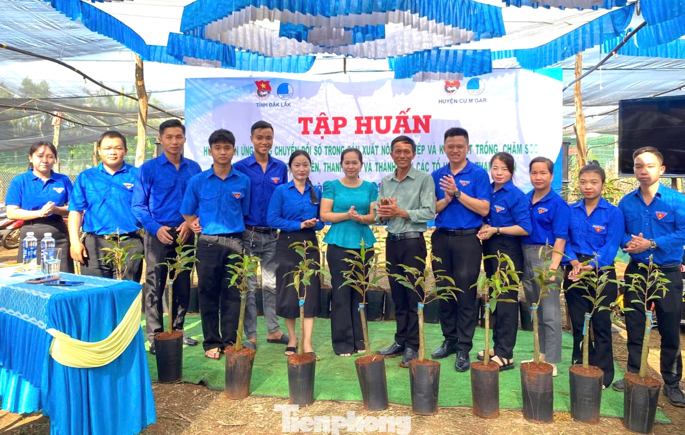 100 cây giống sầu riêng được trao cho thanh niên 100 cây giống sầu riêng được trao cho thanh niên