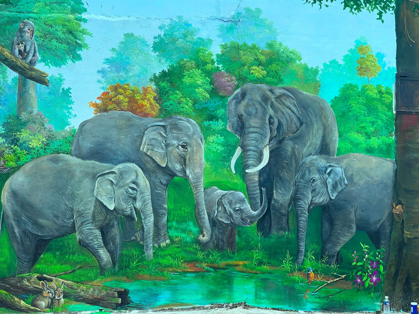 Bức tường cũ được thay thế bằng hình ảnh những chú voi Bức tường cũ được thay thế bằng hình ảnh những chú voi