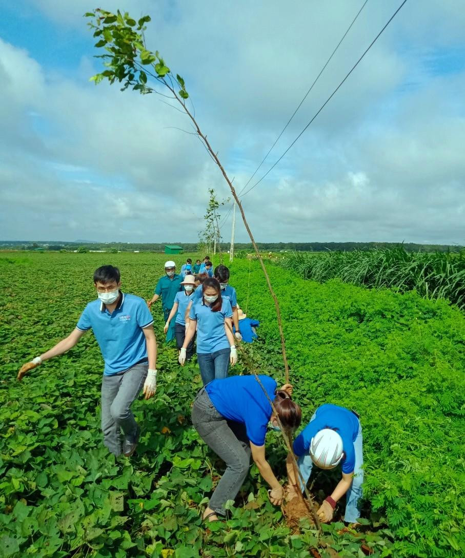 Đoàn thanh niên huyện Cư M'gar trồng cây xanh Đoàn thanh niên huyện Cư M'gar trồng cây xanh