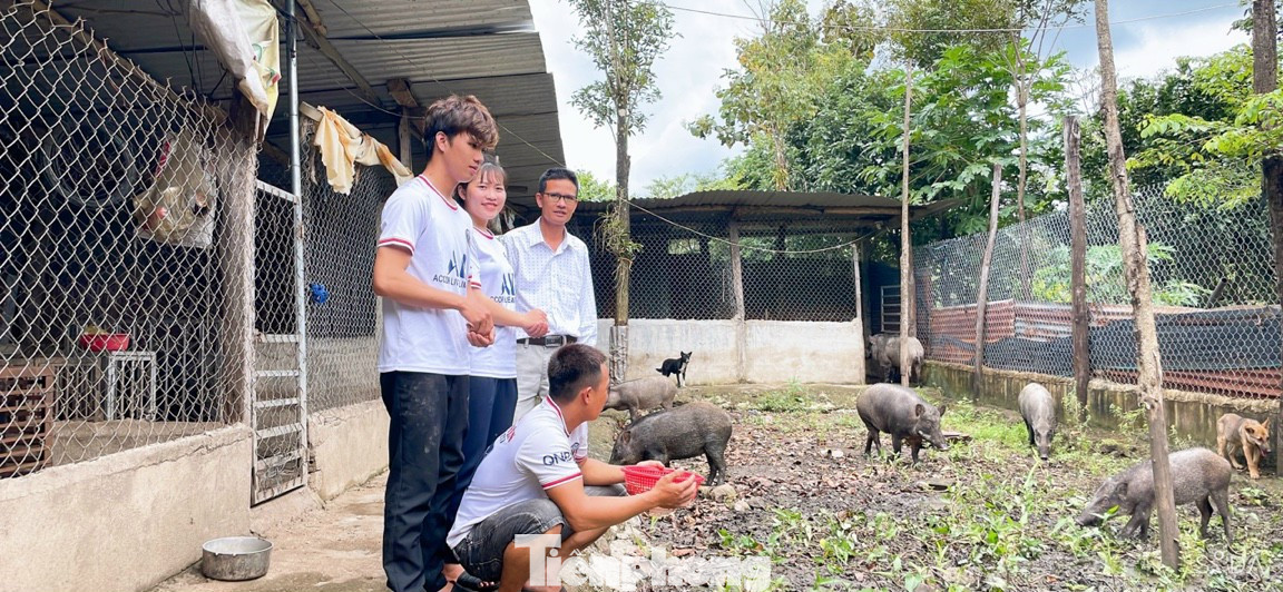 Mô hình nuôi lợn rừng của anh Phạm Văn Khanh