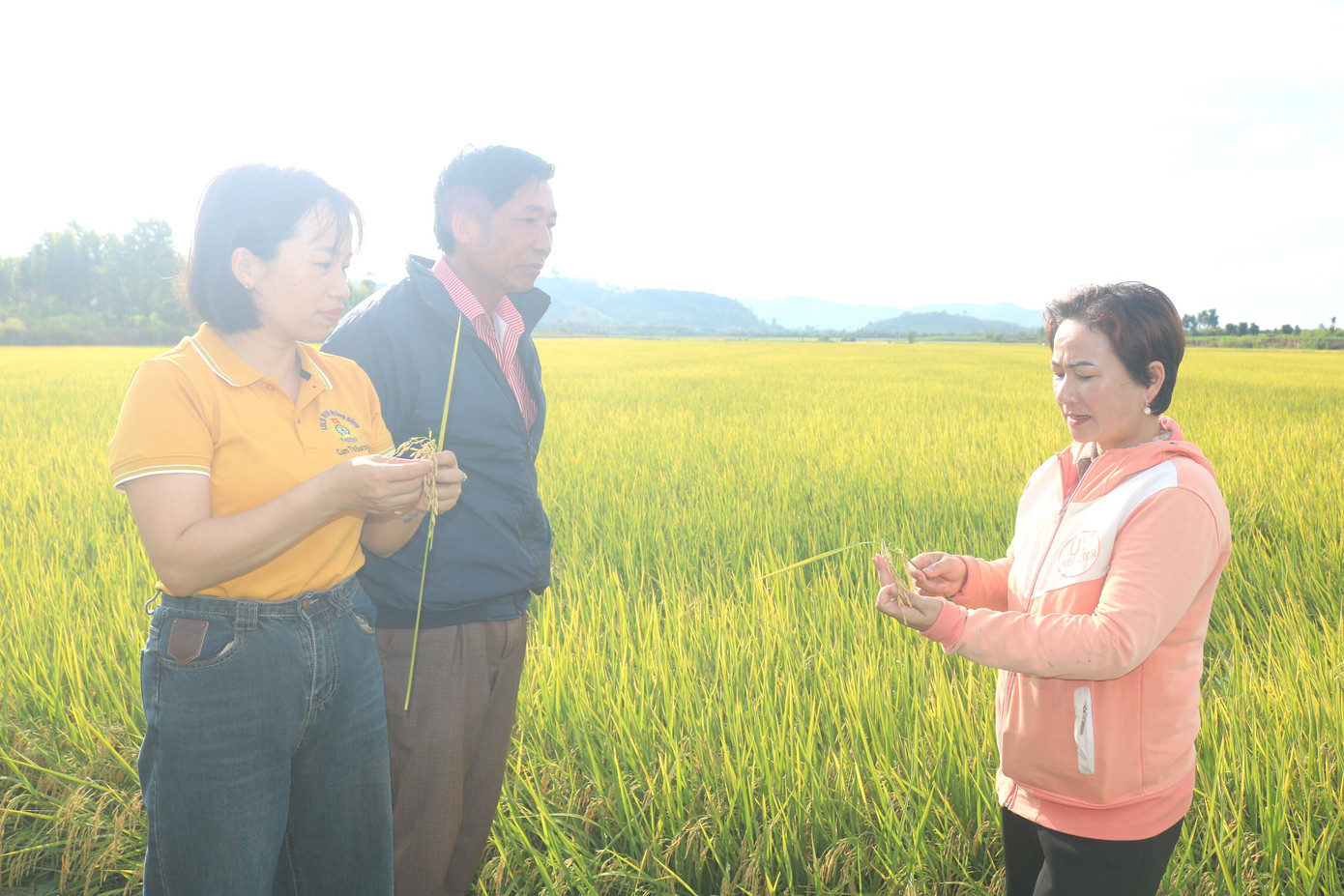 Nhiều mô hình sản xuất của bà con huyện Krông Bông mang lại hiệu quả kinh tế cao.