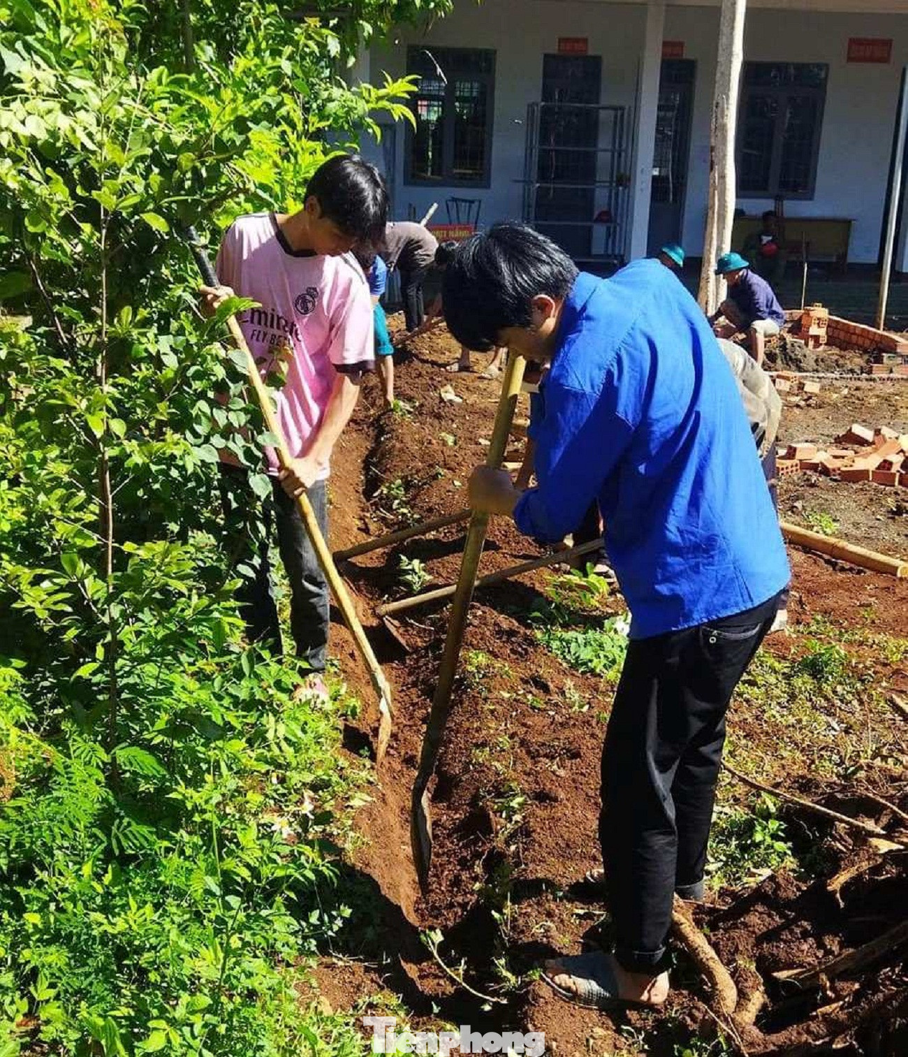 Nhiều hoạt động của thanh niên tình nguyện trong chiến dịch hè năm 2023 Nhiều hoạt động của thanh niên tình nguyện trong chiến dịch hè năm 2023