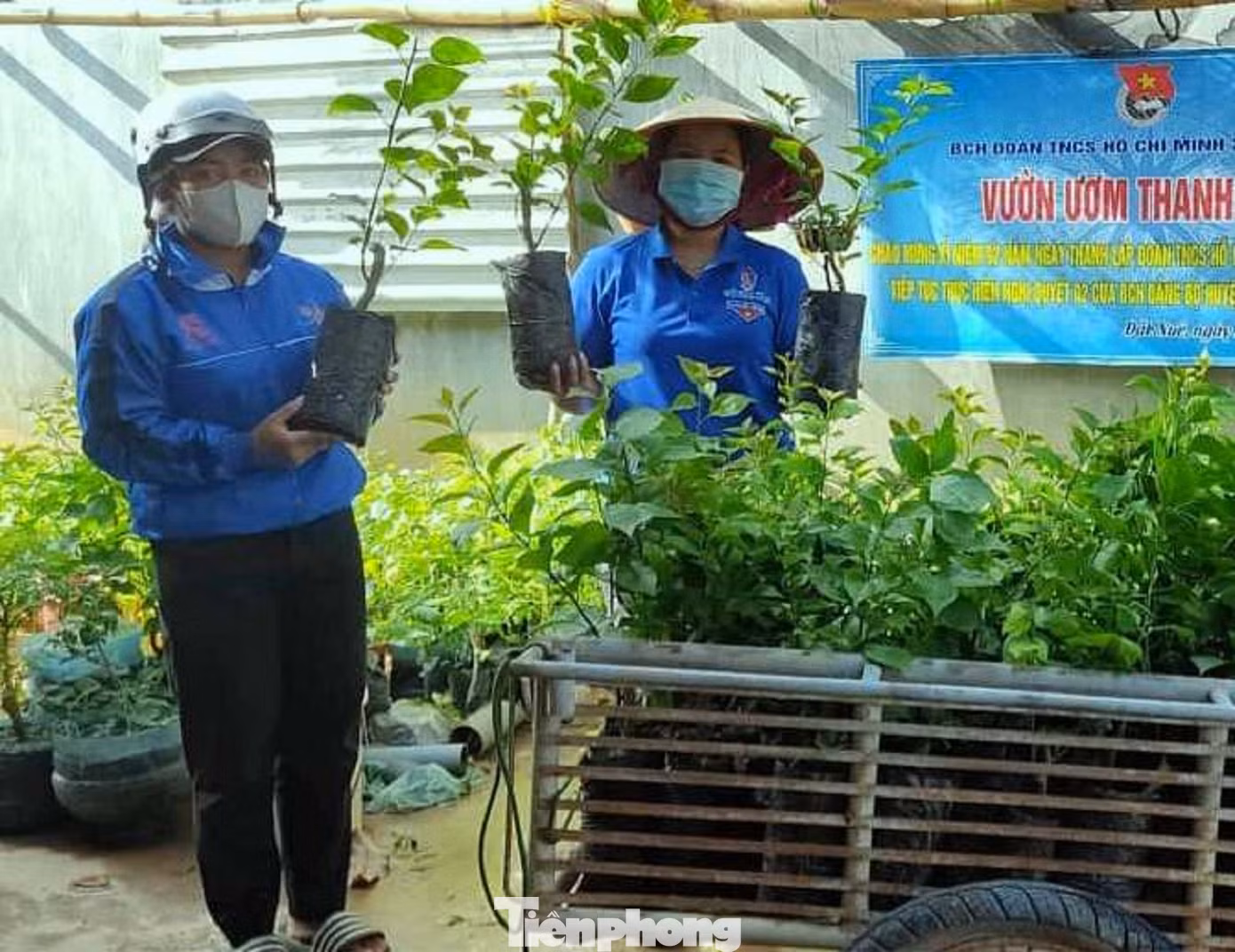 Mô hình vườn ươm thanh niên góp phần xây dựng công trình xanh