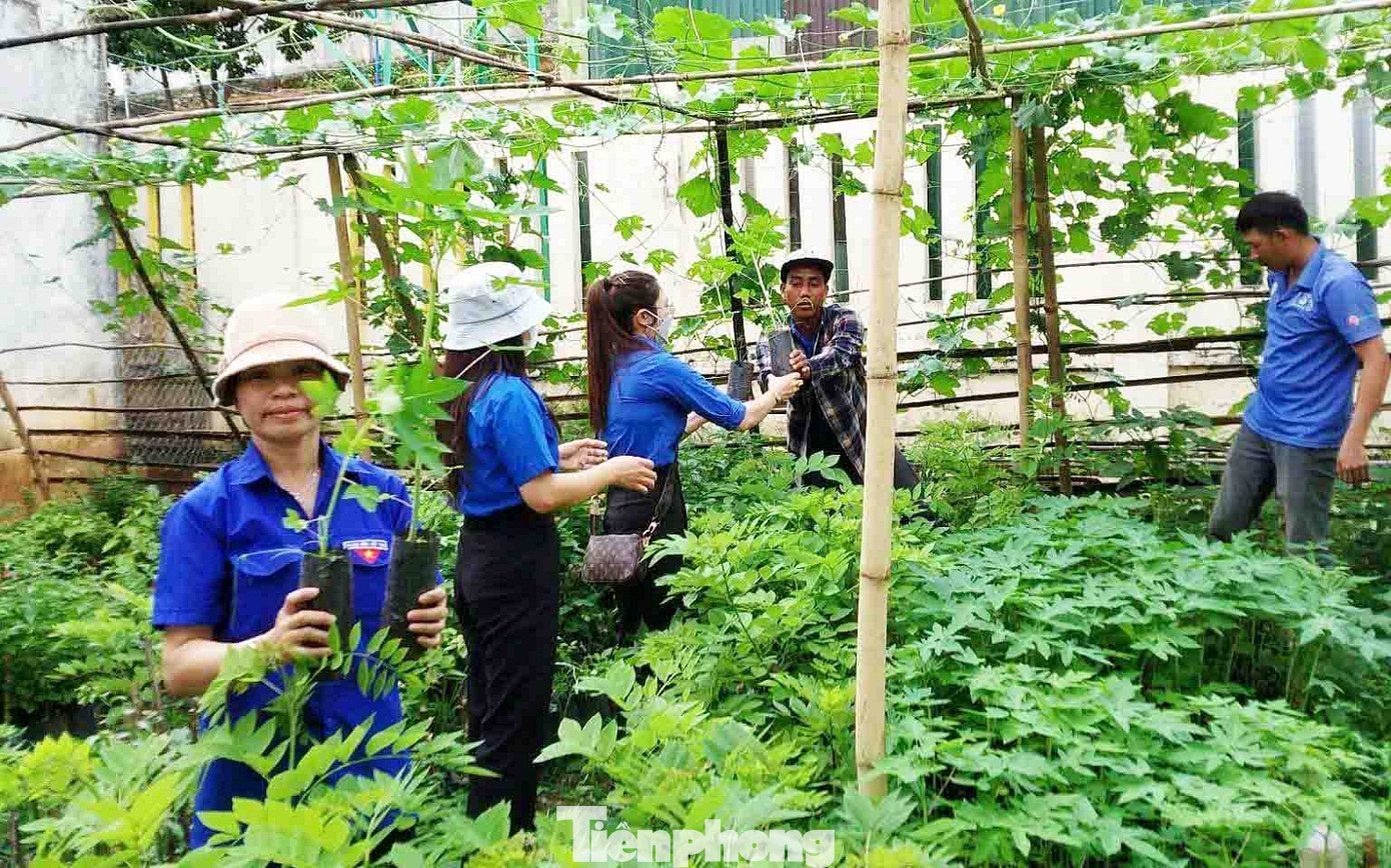 Vườn ươm thanh niên của Đoàn Thanh niên thị trấn Liên Sơn, huyện Lắk Vườn ươm thanh niên của Đoàn Thanh niên thị trấn Liên Sơn, huyện Lắk