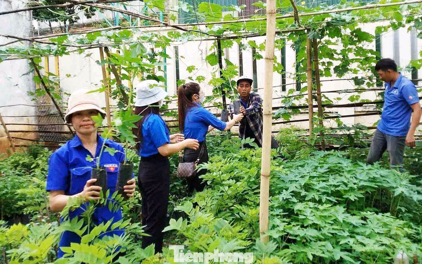 Vườn ươm thanh niên của Đoàn Thanh niên thị trấn Liên Sơn, huyện Lắk