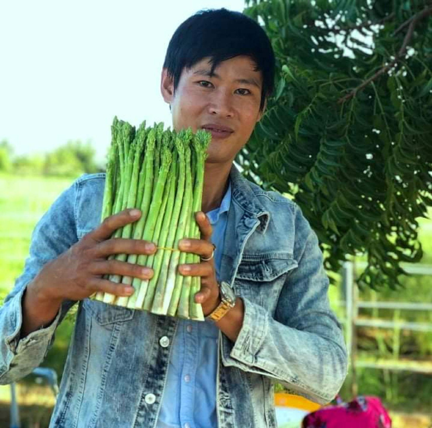 Anh Mỹ chọn măng tây xanh để khởi nghiệp Anh Mỹ chọn măng tây xanh để khởi nghiệp