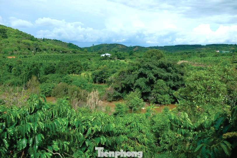 Toàn cảnh khu vực di tích khảo cổ Đắk Sơn khai quật năm 2017. Toàn cảnh khu vực di tích khảo cổ Đắk Sơn khai quật năm 2017.