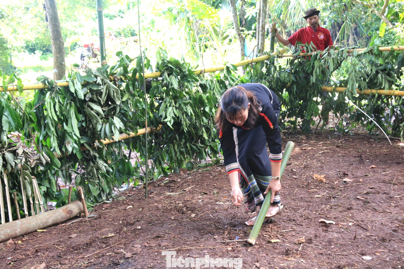 Sau khi người dân bỏ lúa vào ống tre, những người phụ nữ Ê Đê tỉa những hạt lúa trên nương. Nhằm báo hiệu một mùa màng bội thu, mọi gia đình trong buôn được no đủ, người dân luôn được khỏe mạnh, không bị ốm đau bệnh tật.