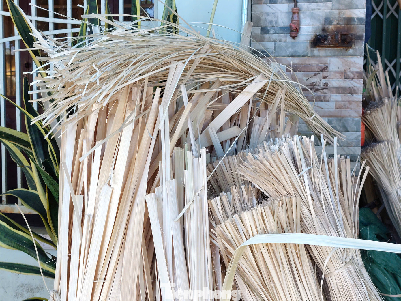 Theo bà Liễu, 1 ống chẻ ra được 1 bó, bán với giá 50.000 đồng/bó. Vào 3 tháng cuối năm, nghề này mang lại thu nhập cho bà khoảng 20 triệu đồng. Ngoài ra, chồng bà trồng 2 sào rau sạch bán tăng thêm thu nhập.