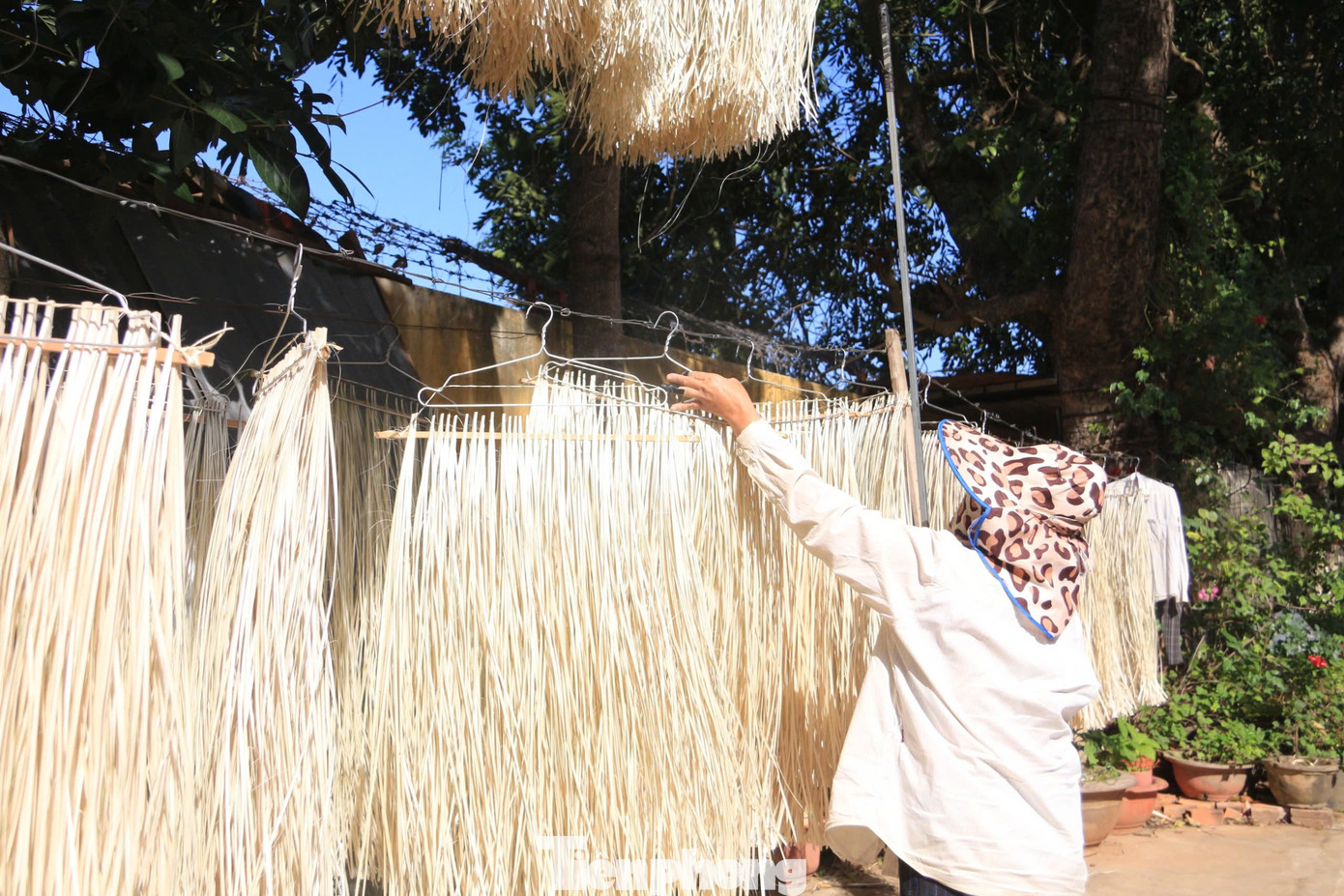 Theo bà Liễu, tháng 10 ống lồ ô non dễ chẻ, mỗi ngày chẻ được 20 ống. Tháng 11, tháng 12, ống cứng hơn nên chẻ khó hơn, mỗi ngày chỉ chẻ được 15 ống.