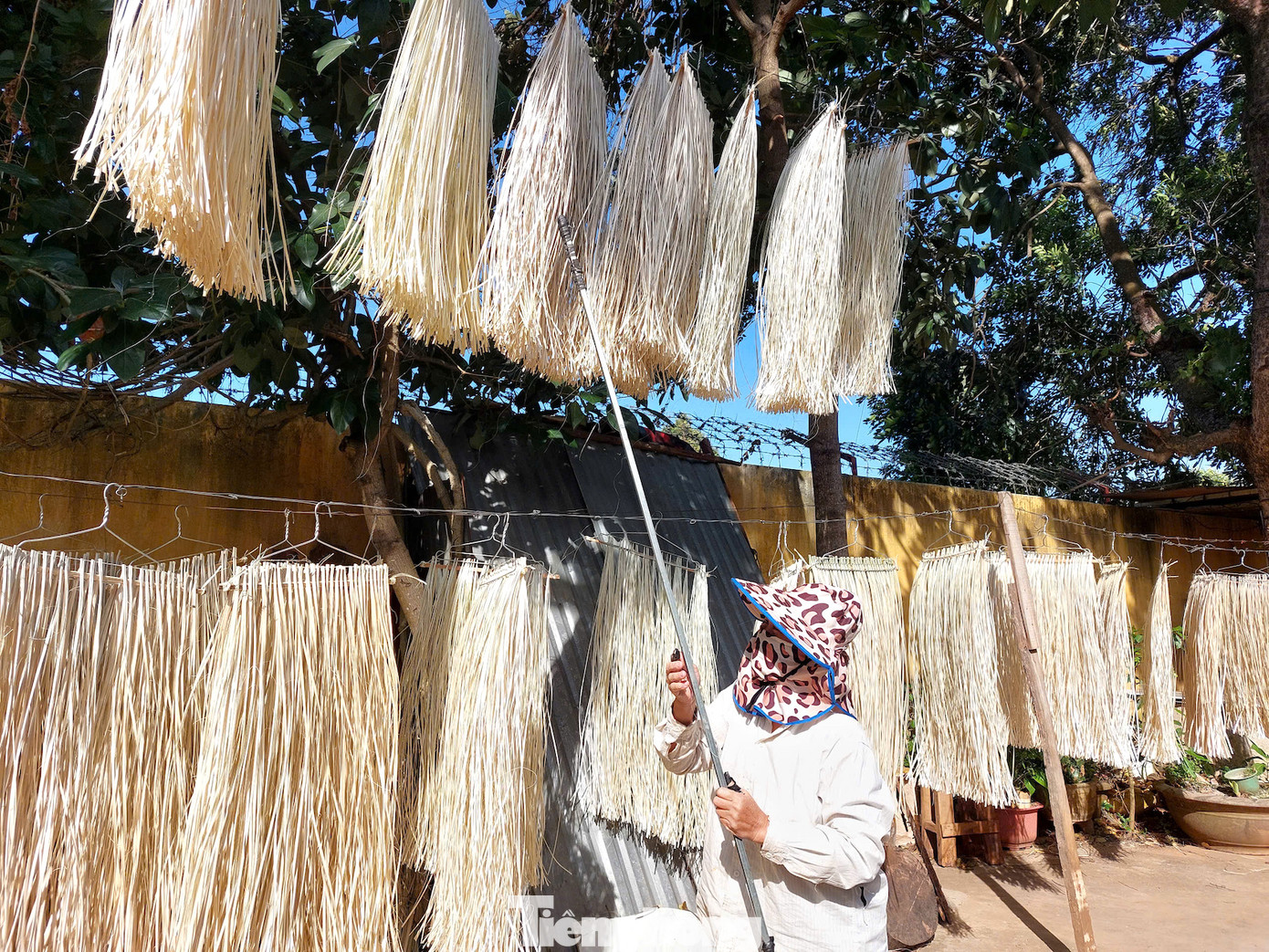 Những năm gần đây, lạt chẻ được bao nhiêu khách sỉ đến mua hết bấy nhiêu, nên thợ chẻ cũng nhàn hơn.
