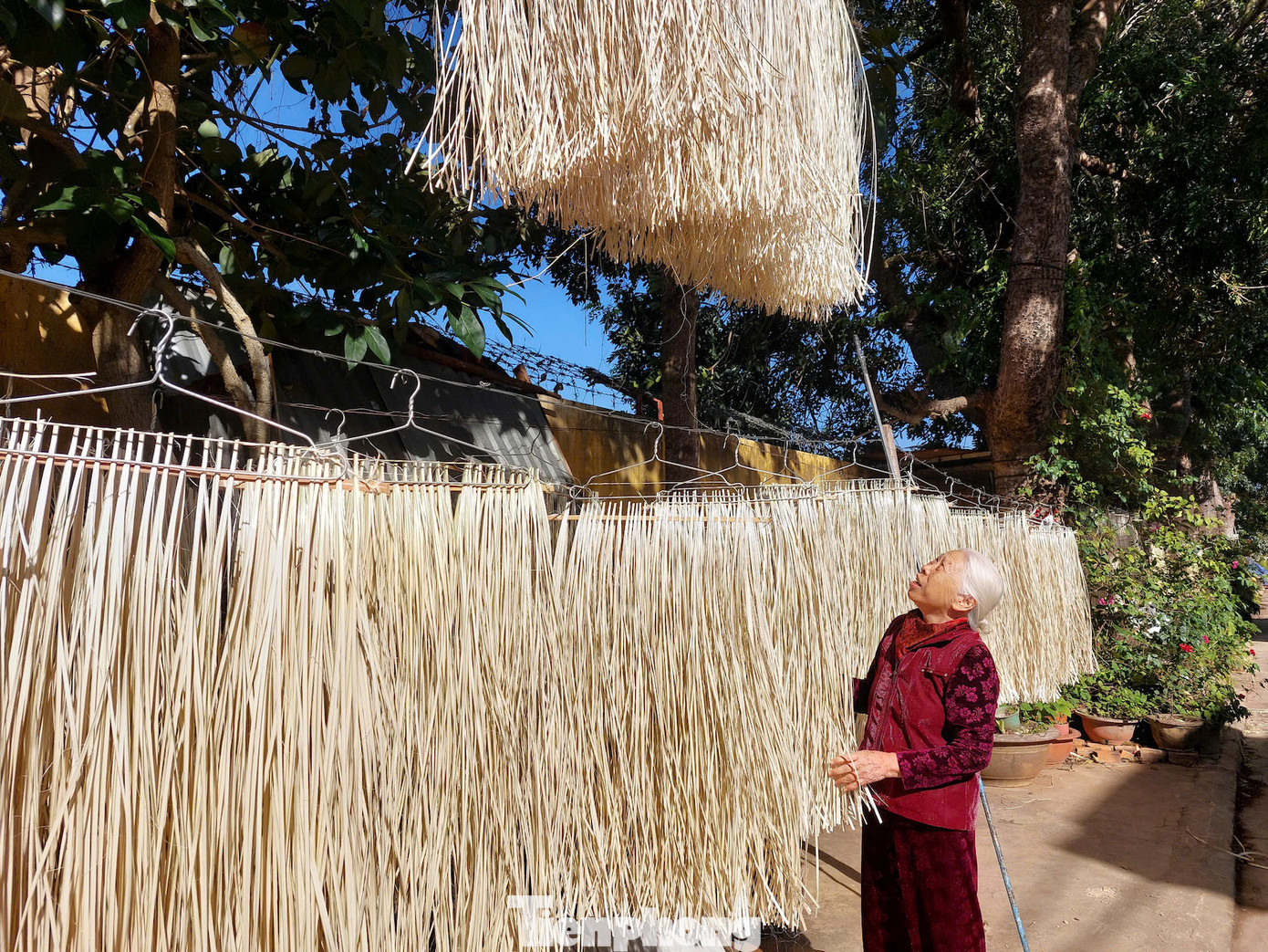 Lạt chẻ xong sẽ phơi khô 2 nắng, sau đó ngâm nước rồi tiếp tục đưa ra phơi thêm 2 ngày nắng to rồi mới bó thành bó giao cho thương lái.
