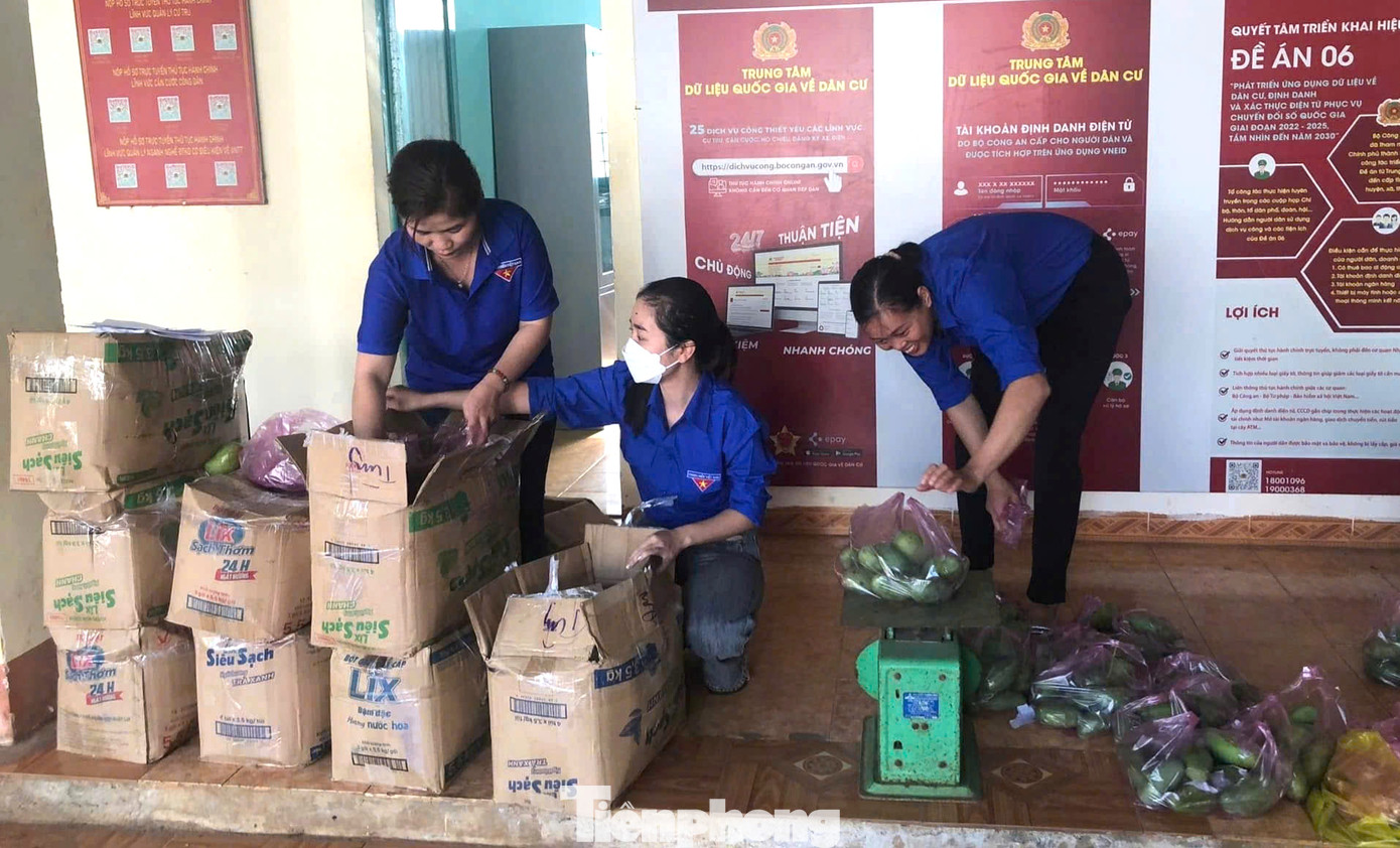 Đoàn thanh niên bán trái cây gây quỹ Đoàn thanh niên bán trái cây gây quỹ