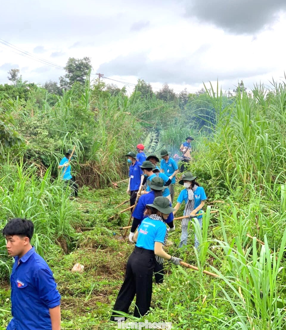 Các tình nguyện viên phát, dọn 1km đường do đoàn xã quản lý; tổ chức dọn dẹp và phát quang khu vực các tuyến đường nhánh, đường xương cá tại các thôn với hơn 2km; phát, vét tuyến mương hơn 0,5km...