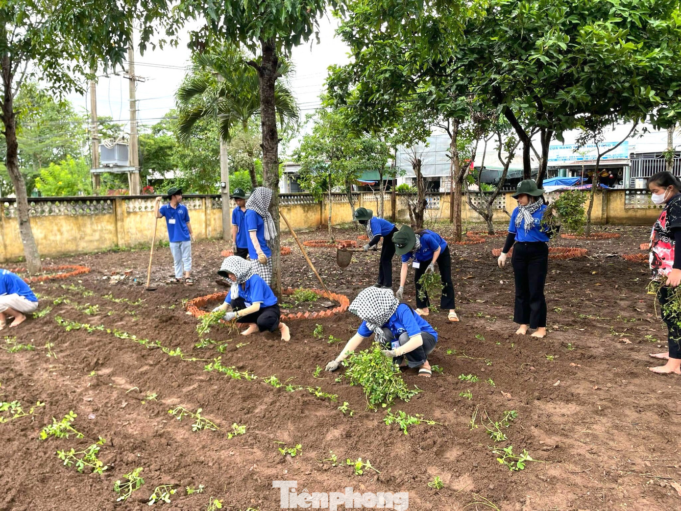 Đoàn mở 2 lớp ôn tập hè cho học sinh từ lớp 1 đến lớp 5; làm đất, làm bồn hoa cho công trình chào mừng Lễ hội sầu riêng huyện Krông Pắc lần thứ 2, năm 2024.
