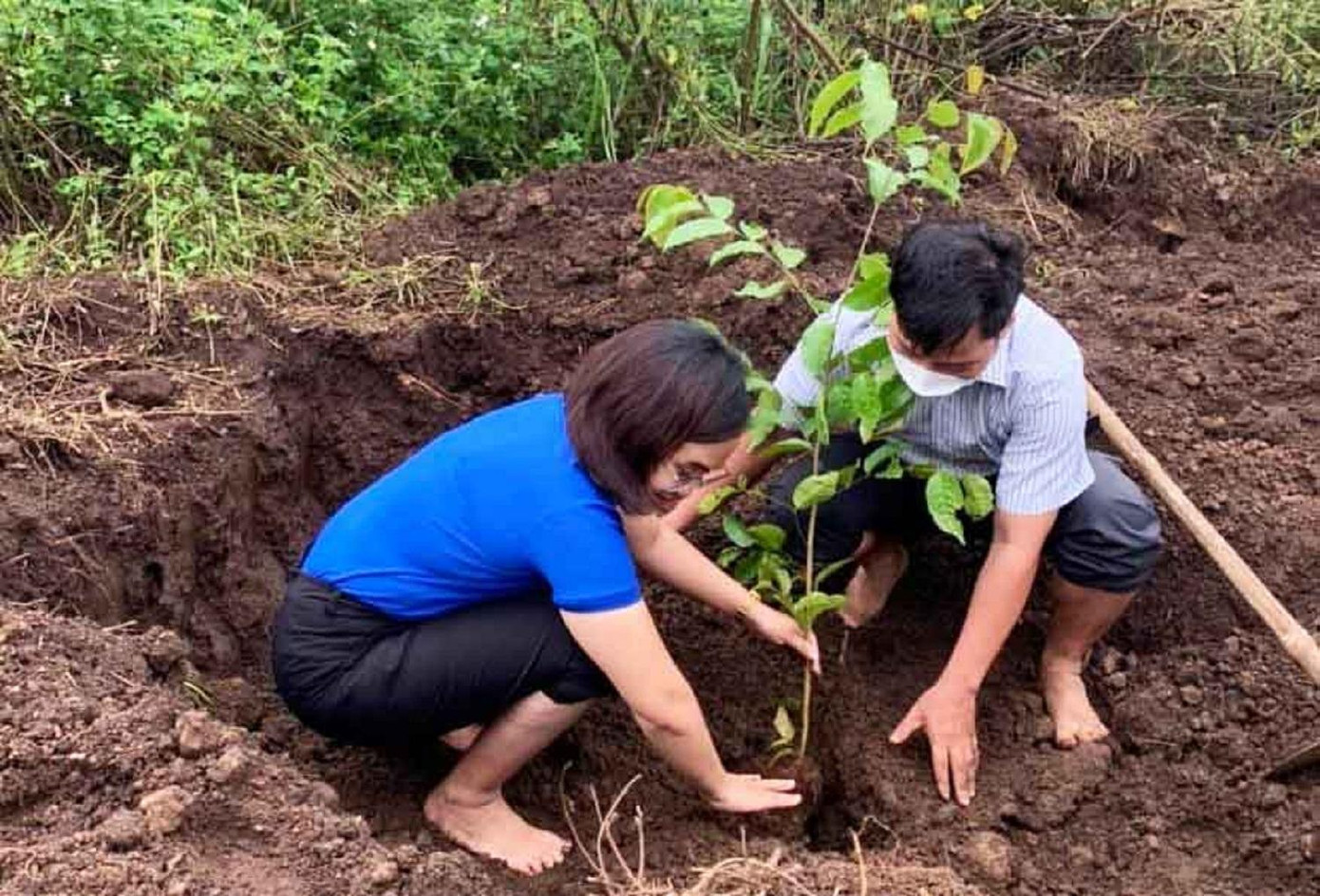Thành đoàn phối hợp với các ủy ban trồng cây bóng mát Thành đoàn phối hợp với các ủy ban trồng cây bóng mát