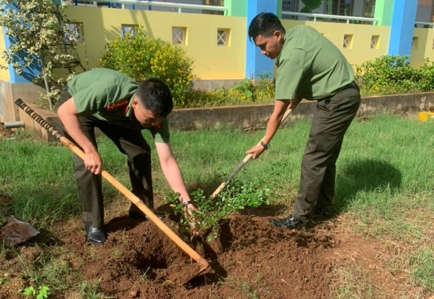 Các cấp bộ đoàn thành phố ra quân trồng cây cảnh quan, bóng mát Các cấp bộ đoàn thành phố ra quân trồng cây cảnh quan, bóng mát